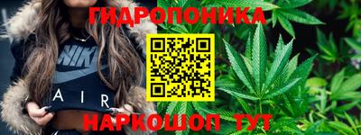 амф Лесосибирск