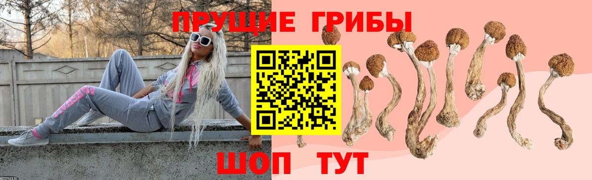 Вятские Поляны  Псилоцибиновые грибы мицелий  Вход с VPN 