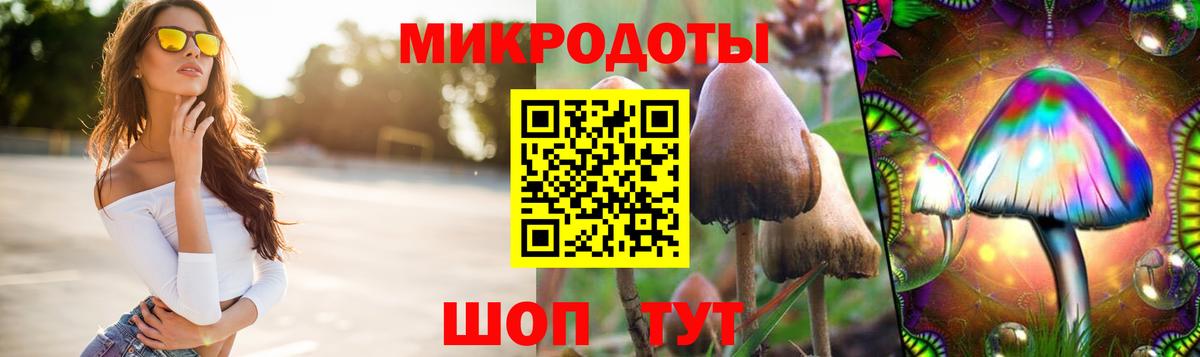 Галлюциногенные грибы мухоморы Вятские Поляны